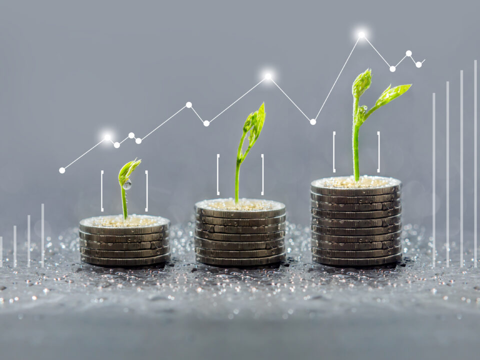 Certificación en Finanzas Sostenibles